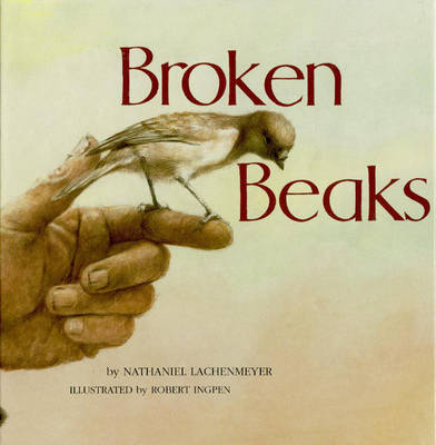 Book cover for Broken Beaks