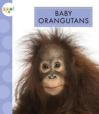 Book cover for Baby Orangutans