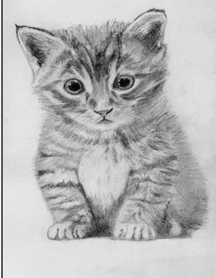 Book cover for Kitten Drawing Notebook