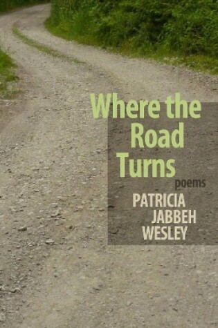 Cover of Where the Road Turns