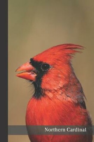 Cover of Northern Cardinal