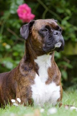 Book cover for Great Boxer Dog Pose Journal