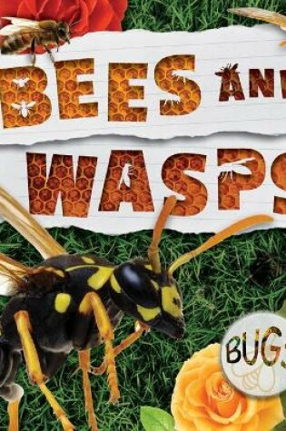 Cover of Bees and Wasps