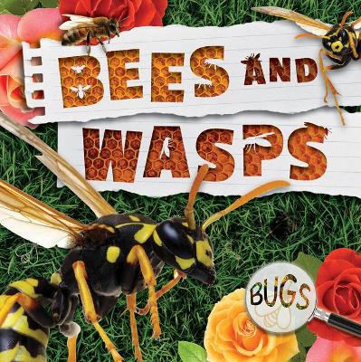 Cover of Bees and Wasps