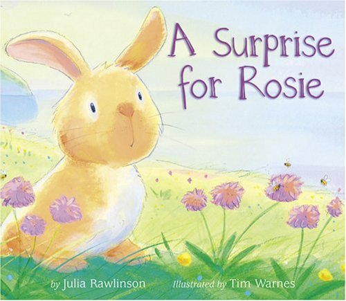 Book cover for A Surprise for Rosie