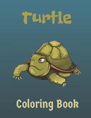 Book cover for Turtle coloring book