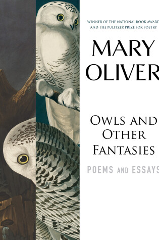Cover of Owls and Other Fantasies
