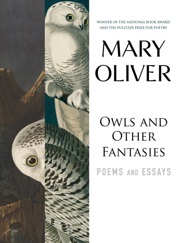 Book cover for Owls and Other Fantasies