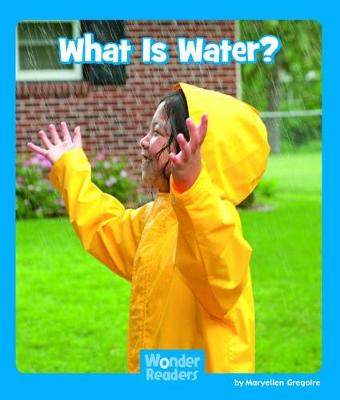 Cover of What Is Water?