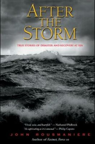 Cover of After the Storm