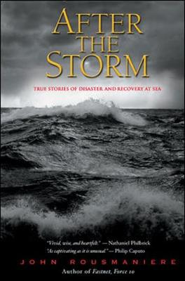 Book cover for After the Storm