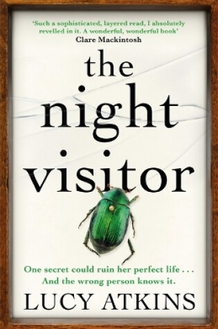 Cover of The Night Visitor