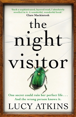 Book cover for The Night Visitor