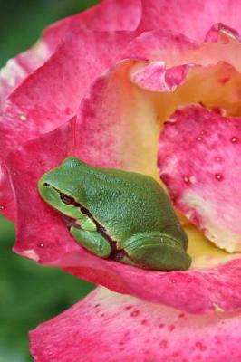 Book cover for Tree Frog in a Pink Rose Journal