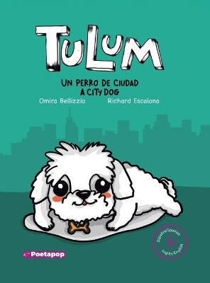 Book cover for Tulum un perro de ciudad / Tulum a city dog