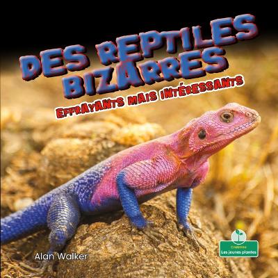 Book cover for Des Reptiles Bizarres Effrayants Mais Intéressants (Creepy But Cool Weird Reptiles)