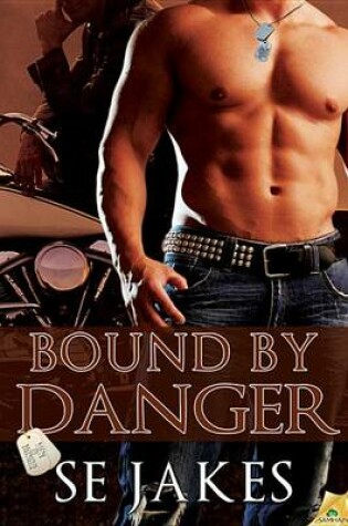 Cover of Bound by Danger