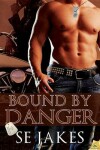 Book cover for Bound by Danger