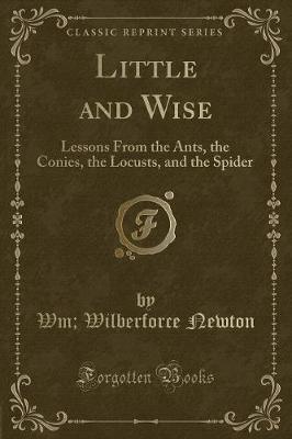 Book cover for Little and Wise